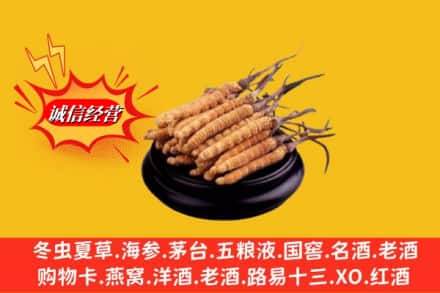 站前区求购回收虫草多少钱每克